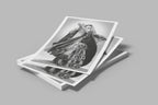 Rashaida - Fine Art Print