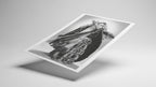Rashaida - Fine Art Print